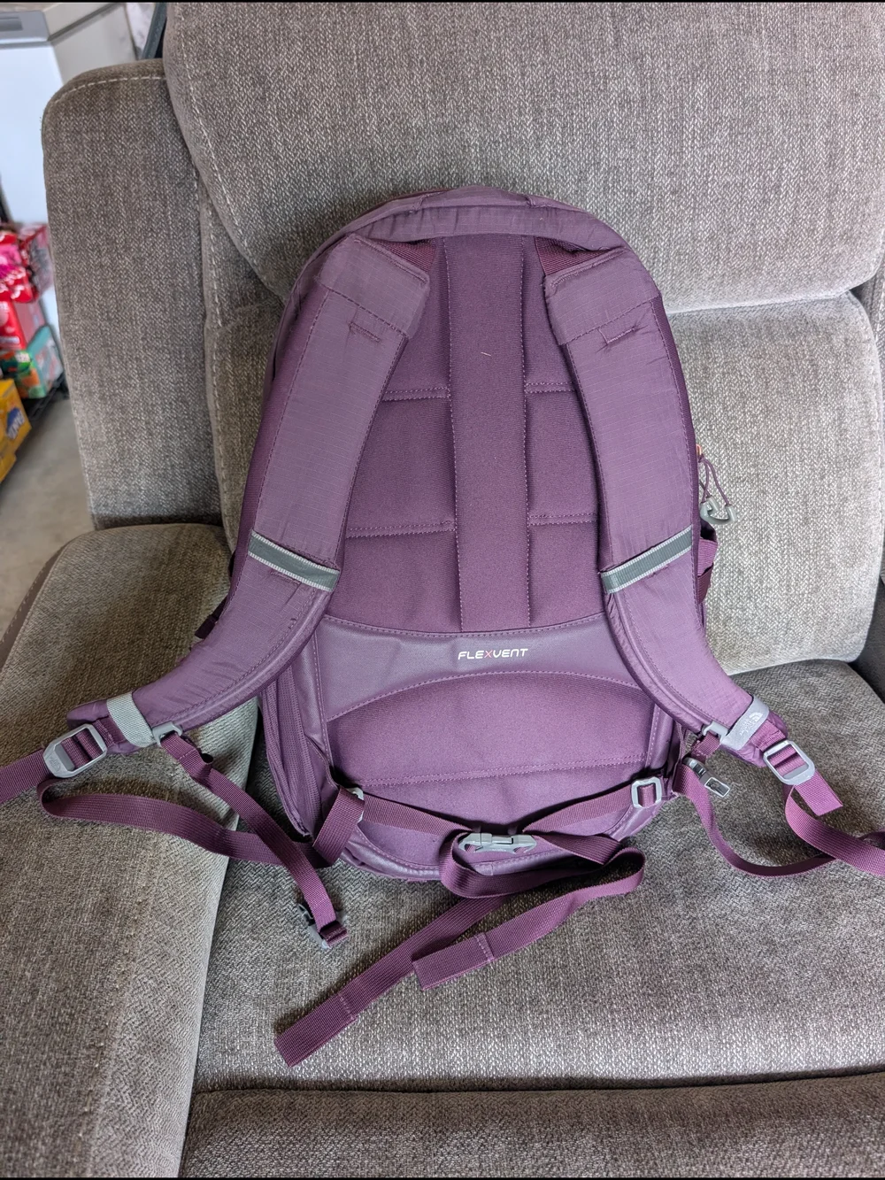 The North Face Purple Backpack